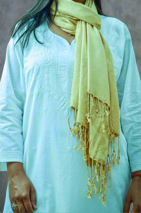 Elegant beige jacquard stole draped elegantly on a light blue ethnic outfit with fringe details