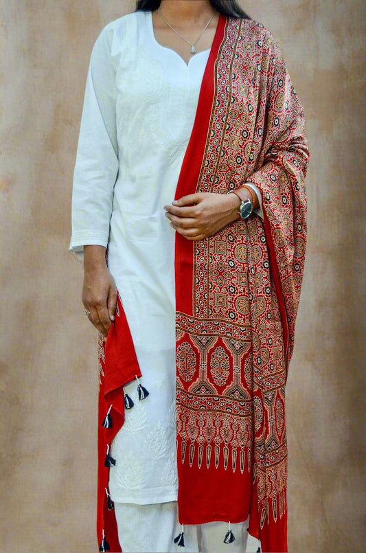 Elegant deep red hand block printed dupatta with intricate designs and tassels, styled with a white outfit.