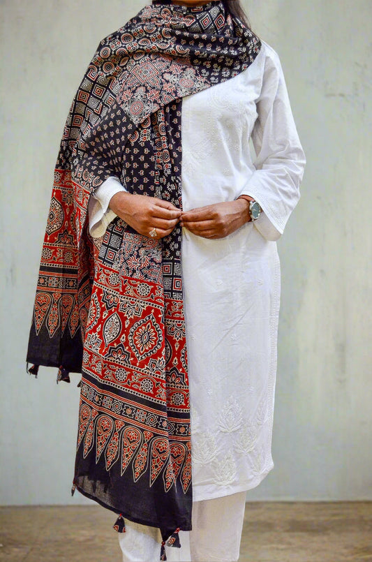 Elegant Ajrakh hand block printed dupatta featuring intricate patterns in rich colors