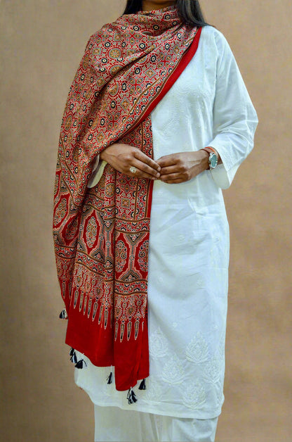 Model wearing a deep red hand block printed dupatta, complementing a white traditional outfit